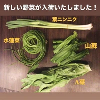 画像275
