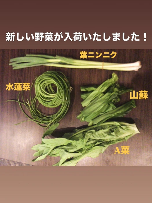 画像275