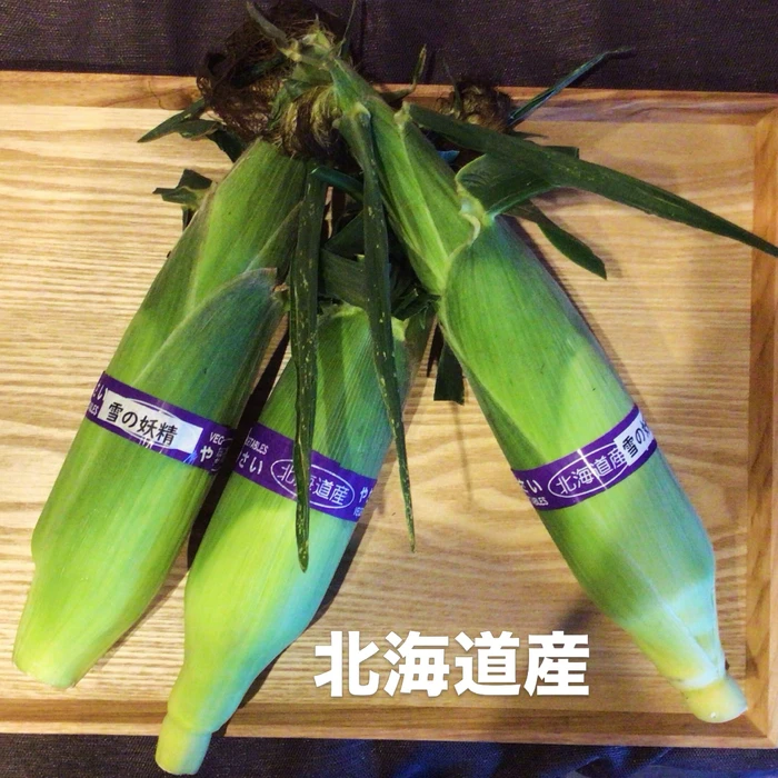 画像351