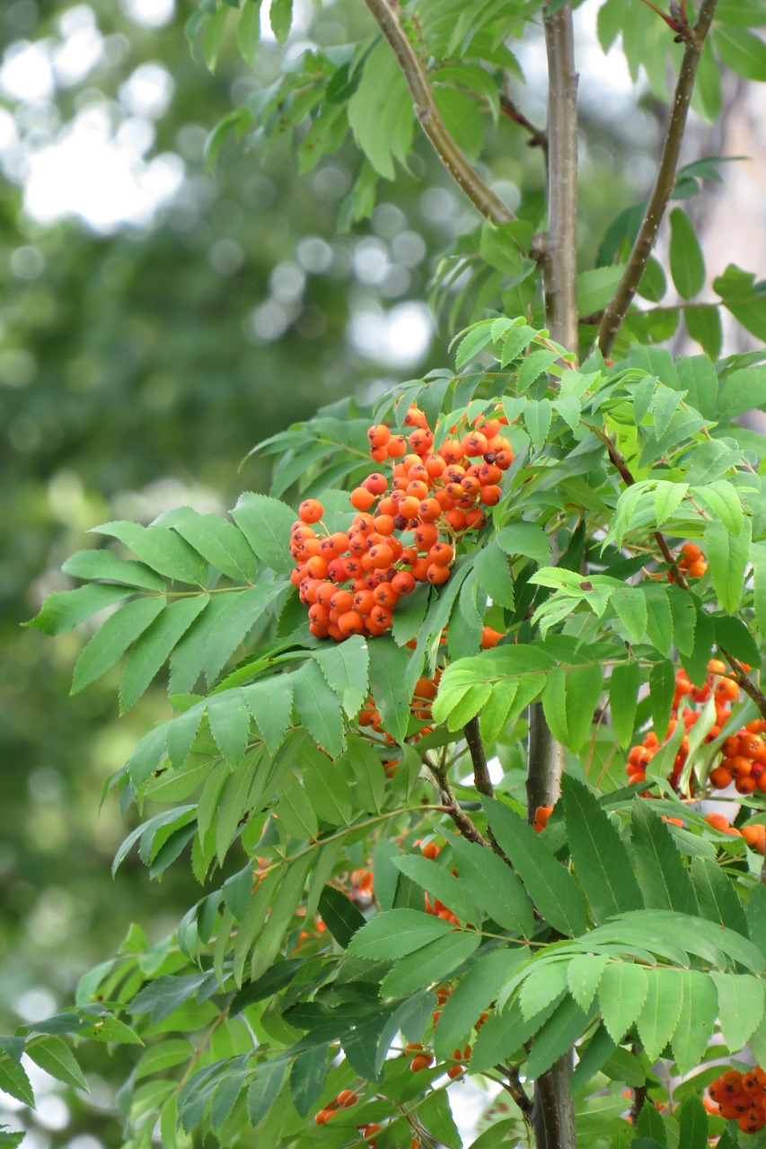 お問い合わせ・ご予約は今すぐ！